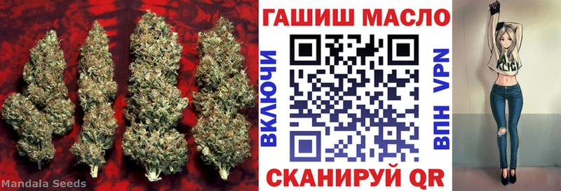 OMG ONION Губкинский ТГК Wax